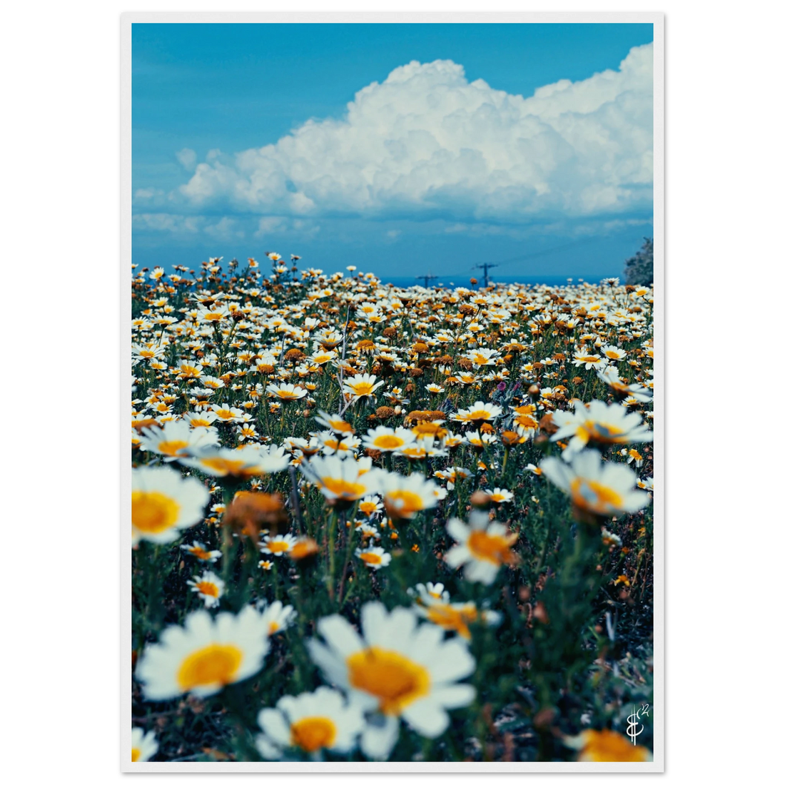 04fa4d68-1c8b-4931-9988-86ea55f2ebf0