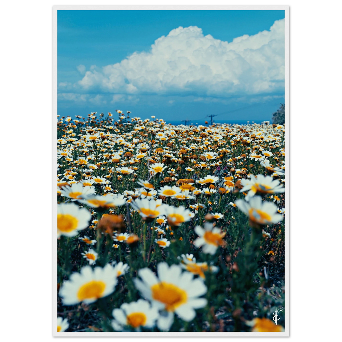04fa4d68-1c8b-4931-9988-86ea55f2ebf0