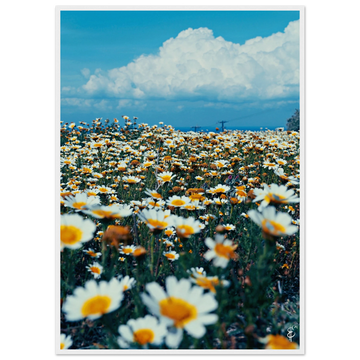 04fa4d68-1c8b-4931-9988-86ea55f2ebf0