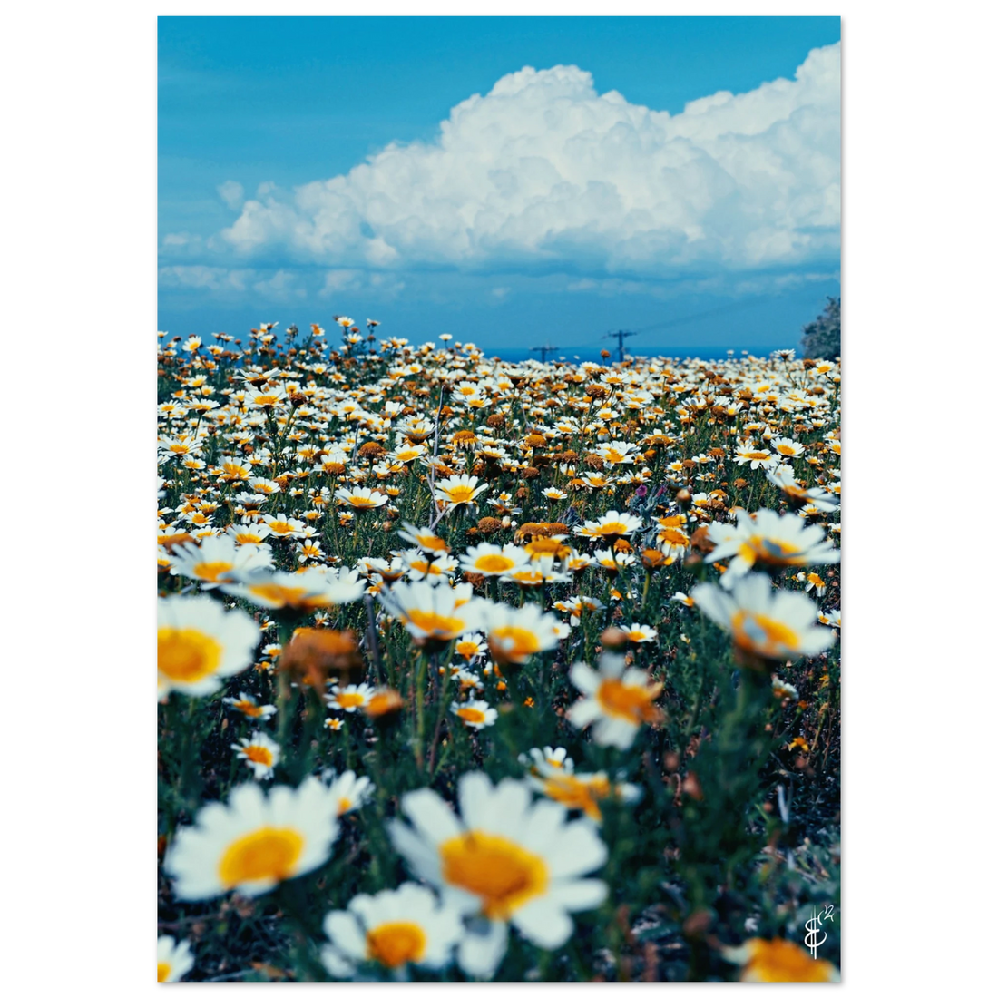 04fa4d68-1c8b-4931-9988-86ea55f2ebf0